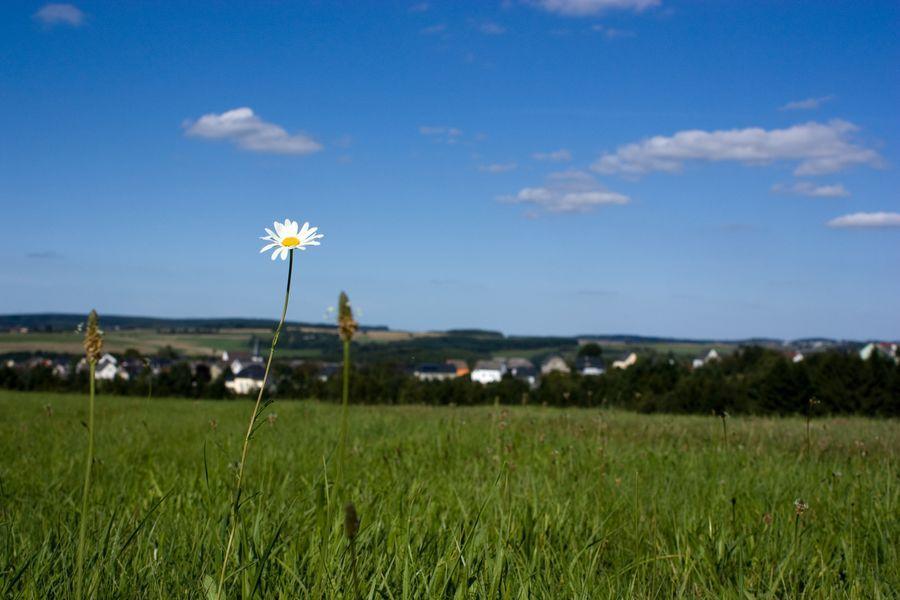 Geisfeld  Studiohaus Haus Roswitha מראה חיצוני תמונה